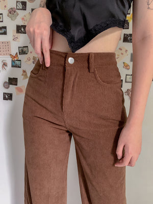 EDEN CORDUROY PANTS IN BROWN